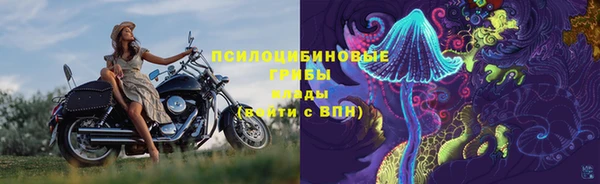 хмурый Сосновоборск