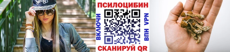 OMG как войти Советск Галлюциногенные грибы мицелий