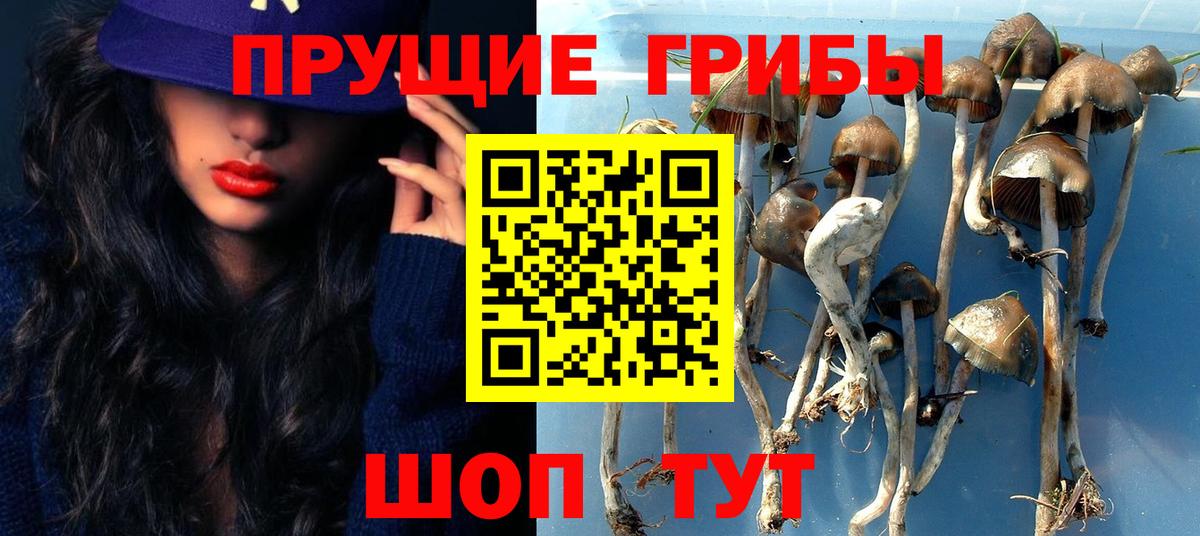 Галлюциногенные грибы мицелий Советск
