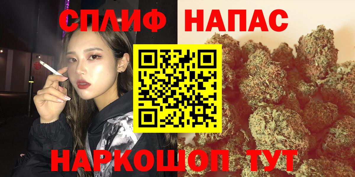 Бошки Шишки тримм Советск